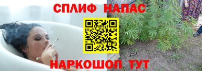 PSILOCYBIN Северобайкальск