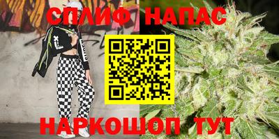 PSILOCYBIN Северобайкальск