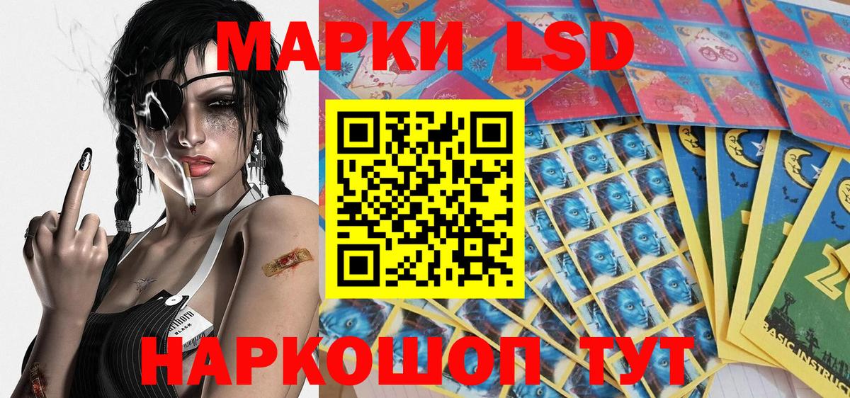 Наркотические марки  Вход с VPN  Петропавловск-Камчатский  Марки N-bome 1500мкг 