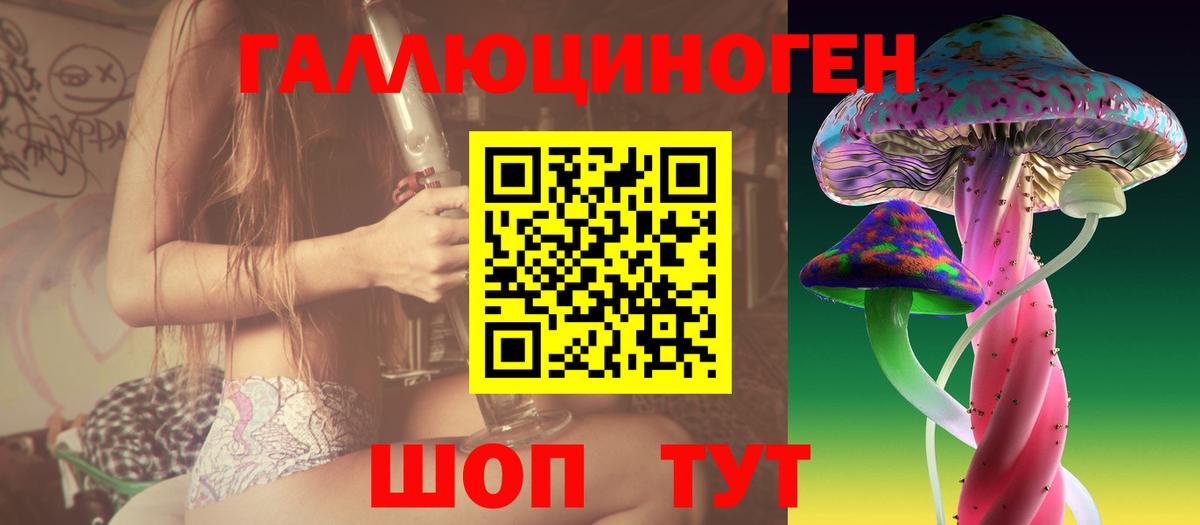 Псилоцибиновые грибы Psilocybine cubensis Петропавловск-Камчатский