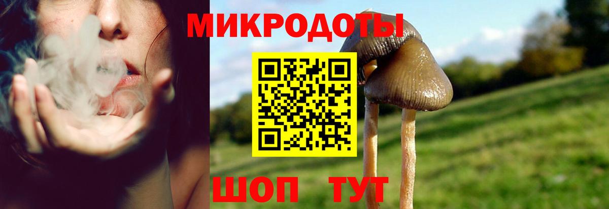 Галлюциногенные грибы MAGIC MUSHROOMS  Вход с VPN  цены   Псилоцибиновые грибы мицелий  Петропавловск-Камчатский 